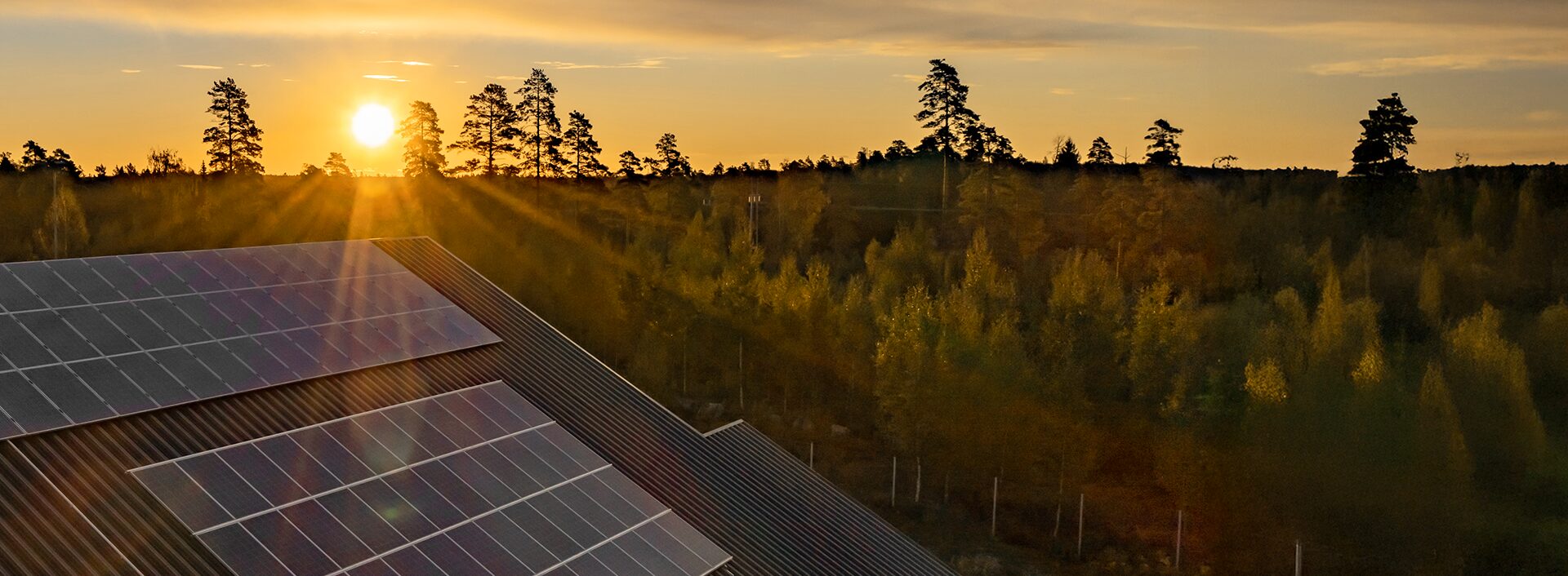 20_jahre_bayern_3 Sonnenkollektoren auf einem Dach reflektieren das Sonnenlicht bei Sonnenuntergang, mit einem Wald aus hohen Bäumen und einem goldenen Himmel im Hintergrund.